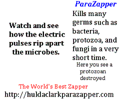 Parasite Zapper kills germs quickly